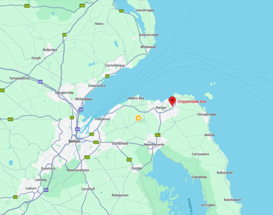 Dog sitting in Bangor, Co. Down