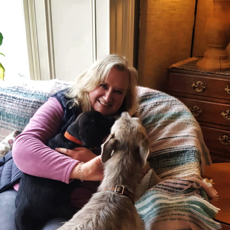 Sara Wilson dog sitting