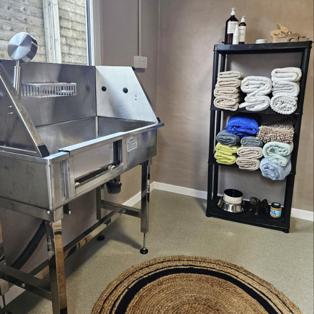 Wash & Blow Dry Facilities